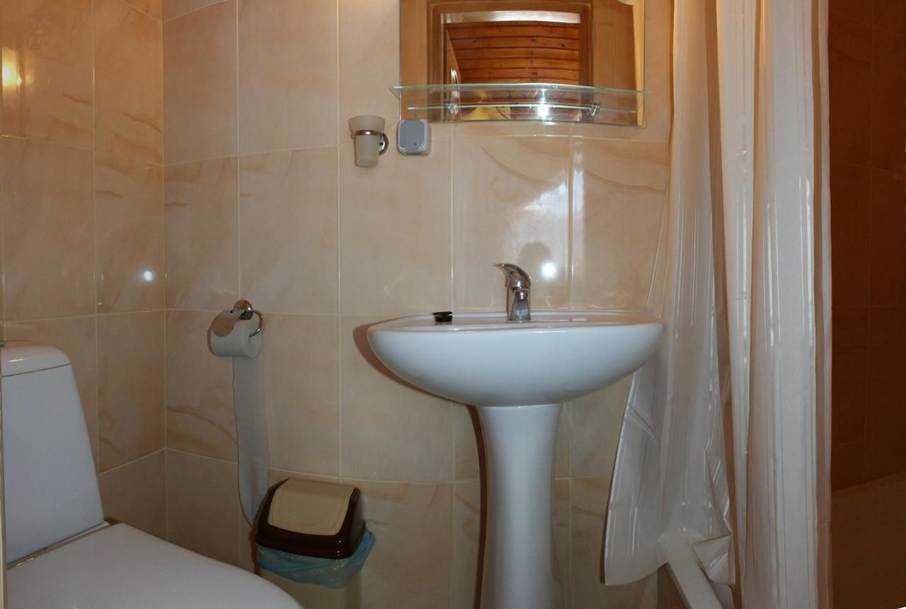 Отель Postoyalyi Dvir Яблоница-20